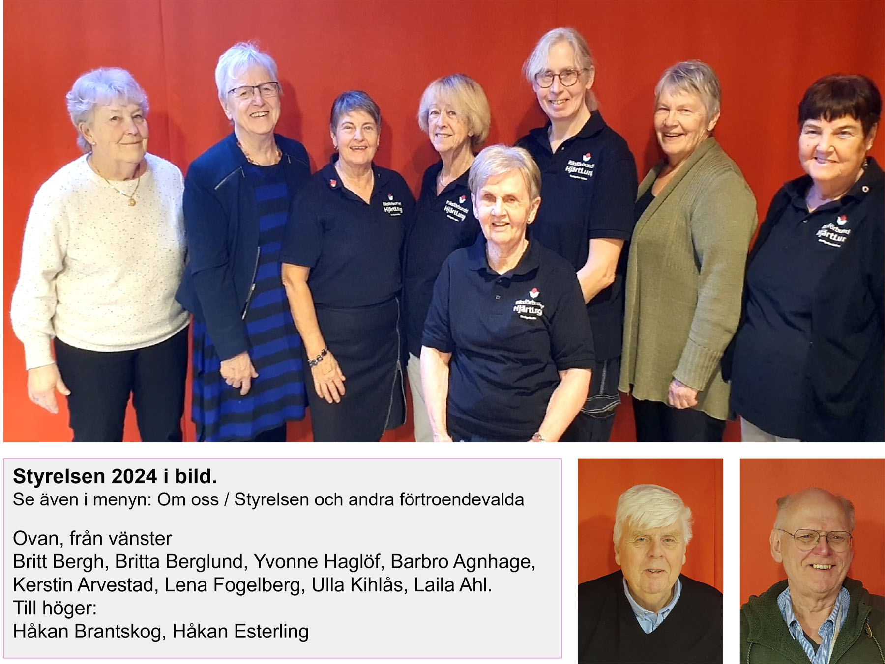 Styrelsen 2024. Bildmontage-2_B_2000px.jpg