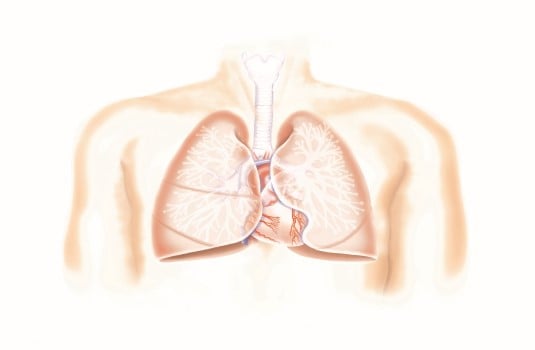 Kroniskt obstruktiv lungsjukdom.